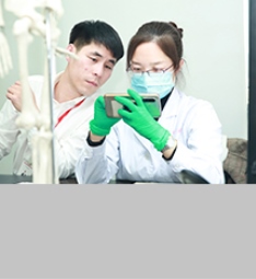 让小白变专家,维护委托人权益,办案质量有保障